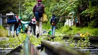 2-Day Tour to Machu Picchu By Minivan from Cusco