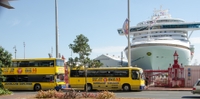 Excursion en bord de mer à Auckland: Tour en bus à Arrêts multiples