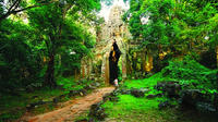 Angkor Private Tour