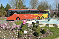 Trasferimento in partenza condiviso: dagli hotel di Disneyland Paris agli aeroporti di Parigi Trasferimento in partenza condiviso: dagli hotel di Disneyland Paris agli aeroporti di Parigi