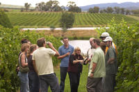 Tour por las bodegas del valle del Yarra desde Melbourne Tour por las bodegas del valle del Yarra desde Melbourne