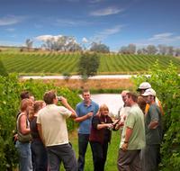 Tour por las bodegas del valle del Yarra desde Melbourne Tour por las bodegas del valle del Yarra desde Melbourne