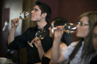 Visite privé sur mesure: Tour des vignobles de la péninsule de Mornington