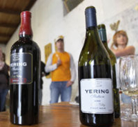 Visite privé: Tour des vignobles de la Yarra Valley et dégustation de vin
