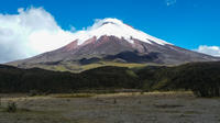 Private Full-Day Tour to Cotopaxi from Quito image 1 Private Full-Day Tour to Cotopaxi from Quito image 1