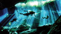 2-Tank Dive in Cenotes from Playa del Carmen