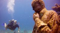 Discover Scuba Diving at the Underwater Museum and Manchones Reef from Cancun