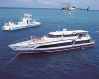 Offre spéciale Cairns: croisière à destination de la Grande Barrière de corail, plus la formation panoramique de Kuranda, plus d'excursion Une journée à Cape Tribulation