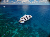Offre spéciale Cairns : croisière à destination de la Grande Barrière de corail plus train panoramique de Kuranda plus excursion d'une journée à Cape Tribulation image 1 Offre spéciale Cairns : croisière à destination de la Grande Barrière de corail plus train panoramique de Kuranda plus excursion d'une journée à Cape Tribulation image 1
