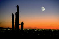 Sunset and City Lights Aerial Tour of Phoenix