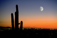 Visite des Lumières aérien de la ville et du coucher du soleil à Phoenix