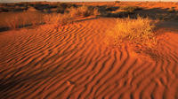 11-Day Simpson Desert 4WD Expedition from Adelaide to Alice Springs