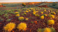 16-Day Great Victoria Desert and Nullarbor 4WD Expedition from Coober Pedy to Adelaide