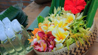 Shore Excursions: Jamu Organic Remedy Workshop in Bali