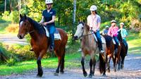 Horse Riding Tour at Glenworth Valley Outdoor Adventures