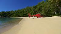 90-Minute Hinchinbrook Island Scenic Helicopter Flight