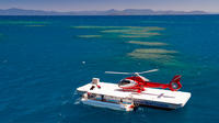 Great Barrier Reef Scenic Helicopter Flight to Moore Reef and Return Snorkeling Cruise from Cairns