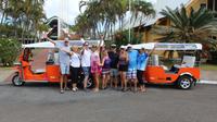 Private Custom Tour: Half-Day Rarotonga Island from Avarua by Tuk Tuk