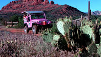 Excursion en jeep à Diamonback Gulch au départ de Sedona