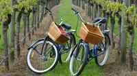 Mattituck New York Guided Farm and Vineyard Bike Tour