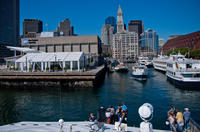 Boston Super Saver: Whale-Watching Cruise plus Admission to New England Aquarium