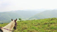 Horseback Riding to Flowers Camp Cave and Canoe Tour