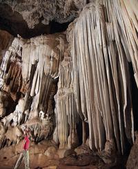 Horseback Riding Tour to Actun Chapat Cave