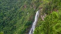 Thousand Foot Falls and Rio On Pool Tour from San Ignacio