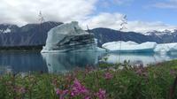 30 Minute Glacier Expedition Flight Tour