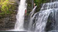 Waterfall Tour from Jaco
