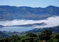 Akaroa Harbour and Banks Peninsula Eco Marine Harbour Cruise Small Group Tour