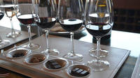 Private Tour: Undurraga Vineyard Experience with Premium Wine Tasting