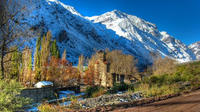 Small Group Cajón del Maipo Full-Day Tour and Picnic