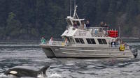 Anacortes Whale Watching