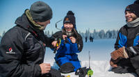 Day in Lappish Wilderness includingh Ice-Fishing in Ylläs