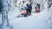 Full-Day Snowmobile Safari into the Lappish Wilderness in Rovaniemi