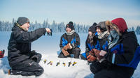 Lapland Snowmobiling, Ice Fishing and Tasty Food in Rovaniemi