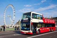 London Combo: The Original London Sightseeing Tour: Hop-on Hop-off and London Eye Champagne Experience