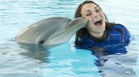 Mediterraneo Park: Swim with Dolphins Experience