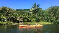 Guided Kayak Adventure on the Wailua River