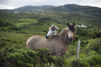 Excursion de 2 jours in the Connemara et la baie de Galway, with départ en formation de Dublin