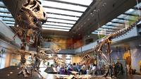 Natural History Museum of Los Angeles County Museum Admission