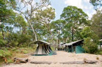 Tour de 2 jours à l'île Moreton en camping et x 4 au départ de Brisbane