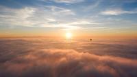 Vol en montgolfière et spectacle de faucons à Dubaï avec petit déjeuner Vol en montgolfière et spectacle de faucons à Dubaï avec petit déjeuner