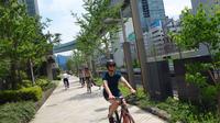 Small Group Tokyo Biking Tour