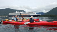 Harbor and Islands Guided Paddle