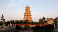 Half-Day Private City Tour of Shaanxi History Museum and Big Wild Goose Pagoda