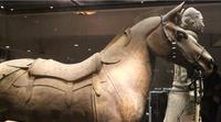 Half-Day Private Tour of Xi'an Terracotta Warriors and Horses Museum 