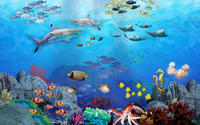 Billet d'entrée à l'aquarium SEA LIFE de Sydney image 1 Billet d'entrée à l'aquarium SEA LIFE de Sydney image 1