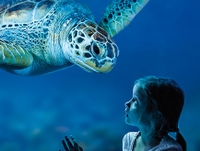 Excursion en bord de mer à Sydney: billet coupe-file versez l'aquarium SEA LIFE de Sydney